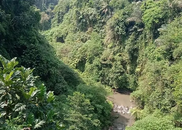 Herberg Jungle River Ubud